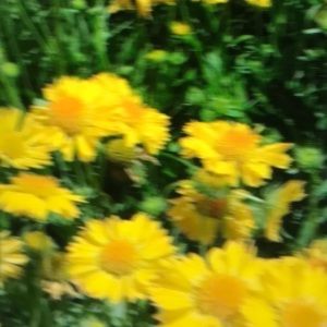 Meet your Posher, Brooks